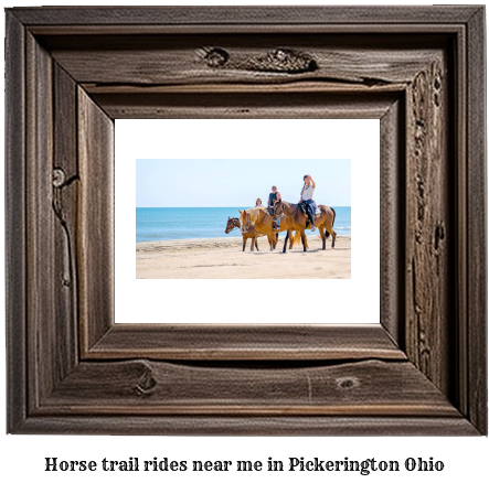 horse trail rides near me in Pickerington, Ohio